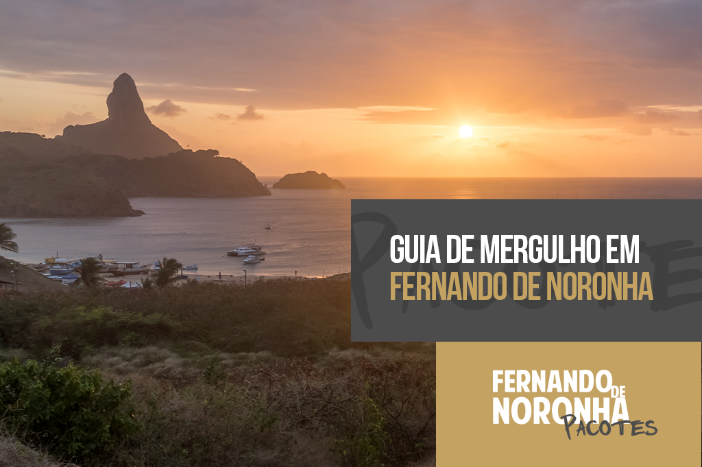 Onde mergulhar em Fernando de Noronha